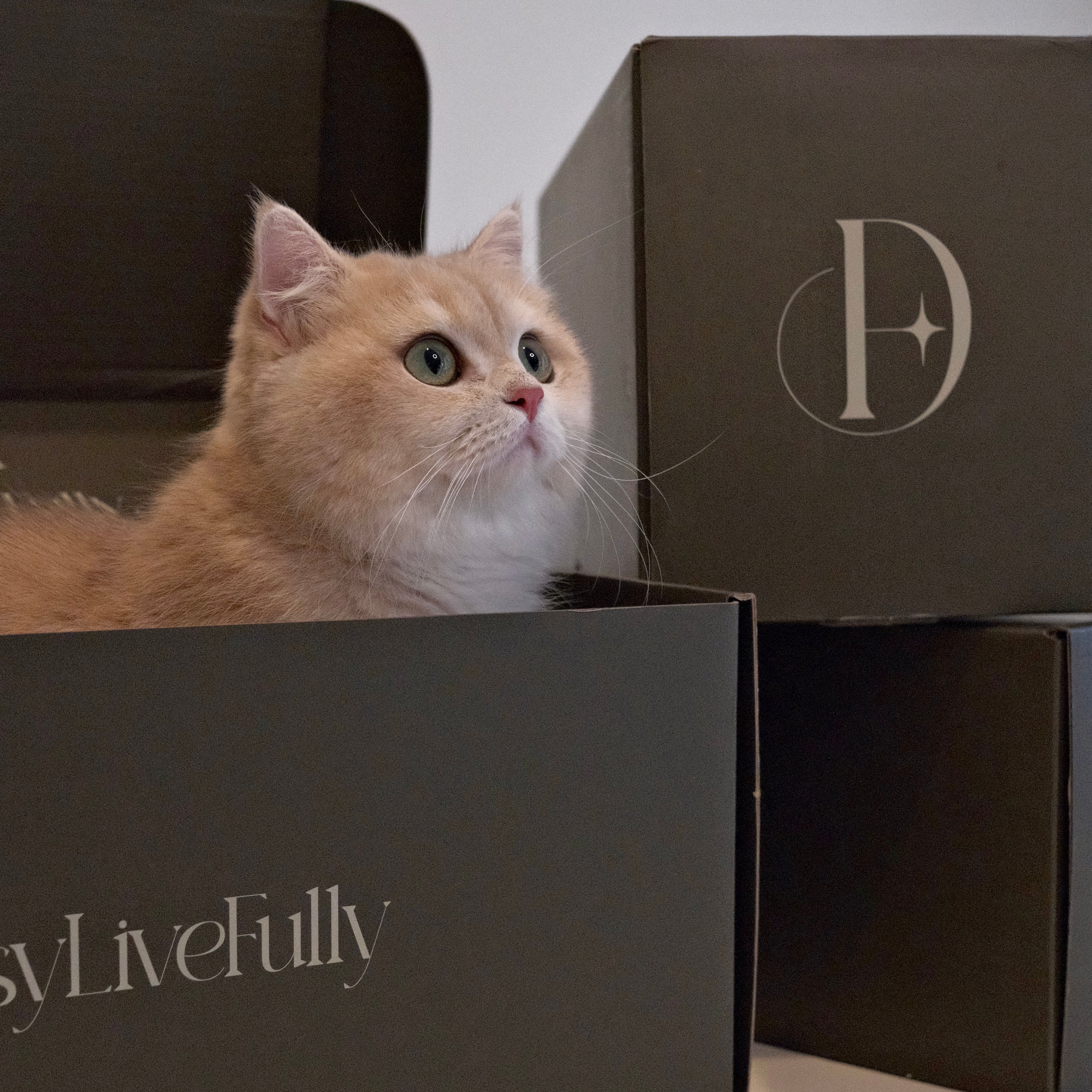 The Pillow That Actually Helps with Neck Pain—No Gimmicks, Just Science