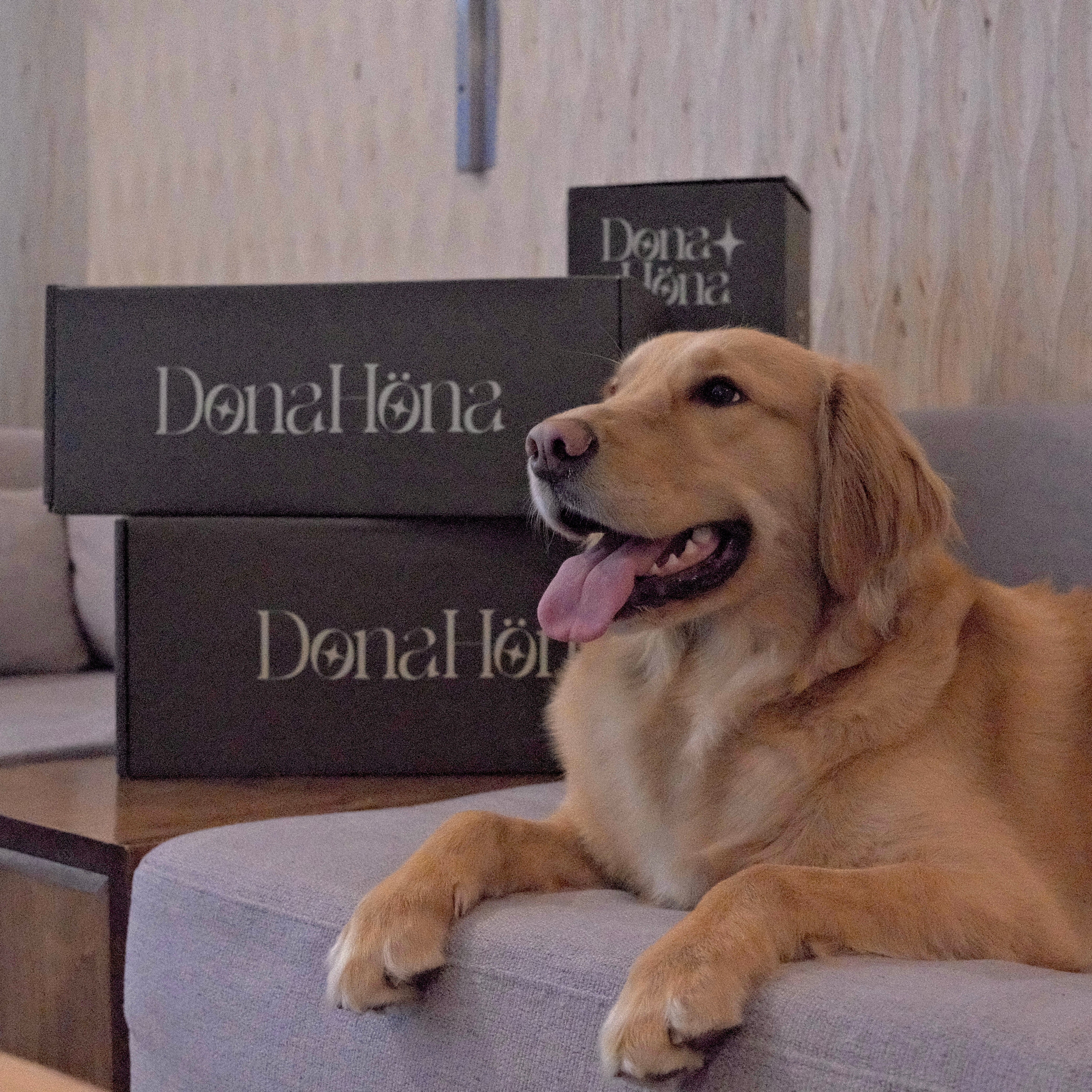 Best Neck Pillows for Sleeping (That Don’t Forget the Shoulder Pain Either)