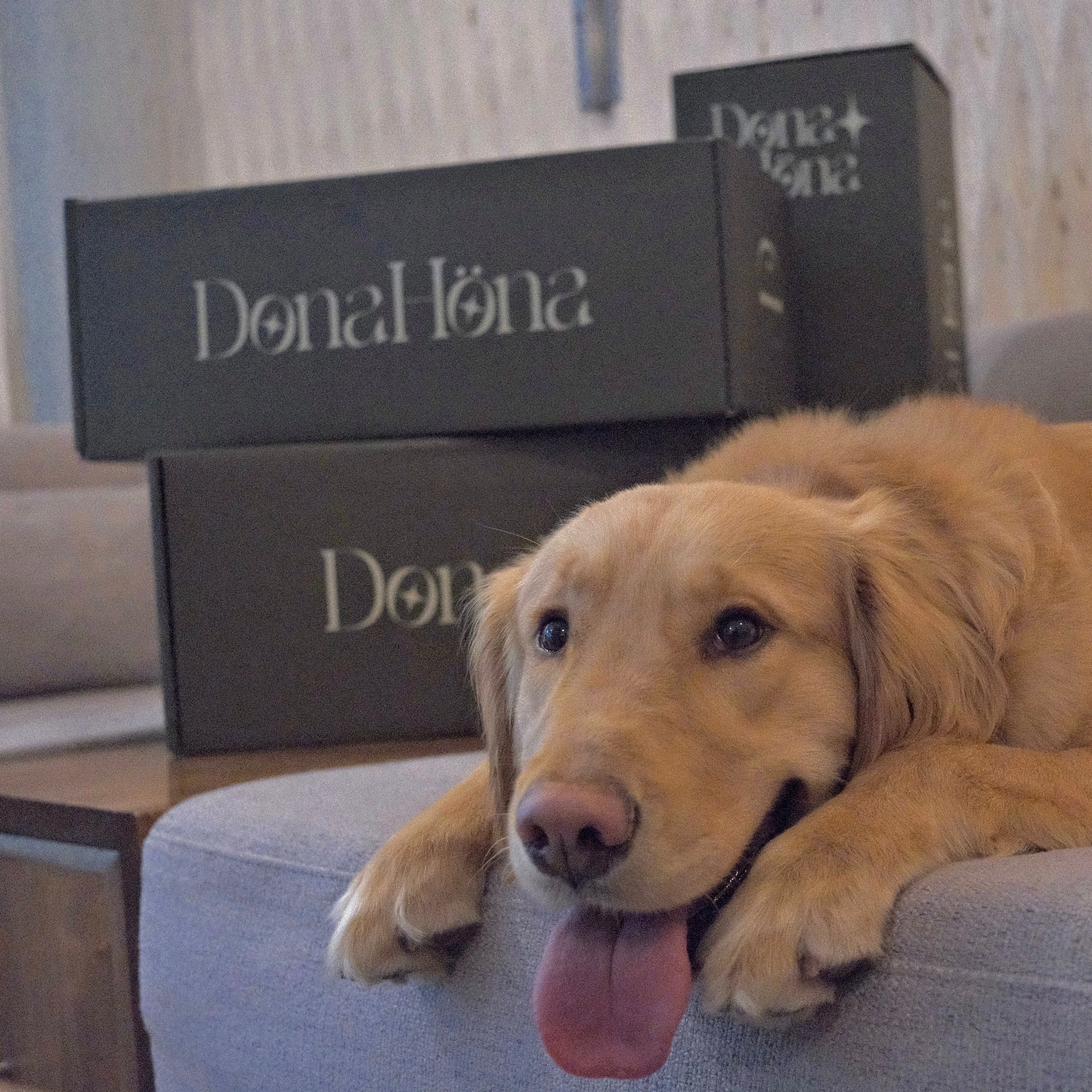 🐕 This Neck Memory Foam Pillow Doesn’t Just Support Your Spine—It Helps Protect Those Without a Voice