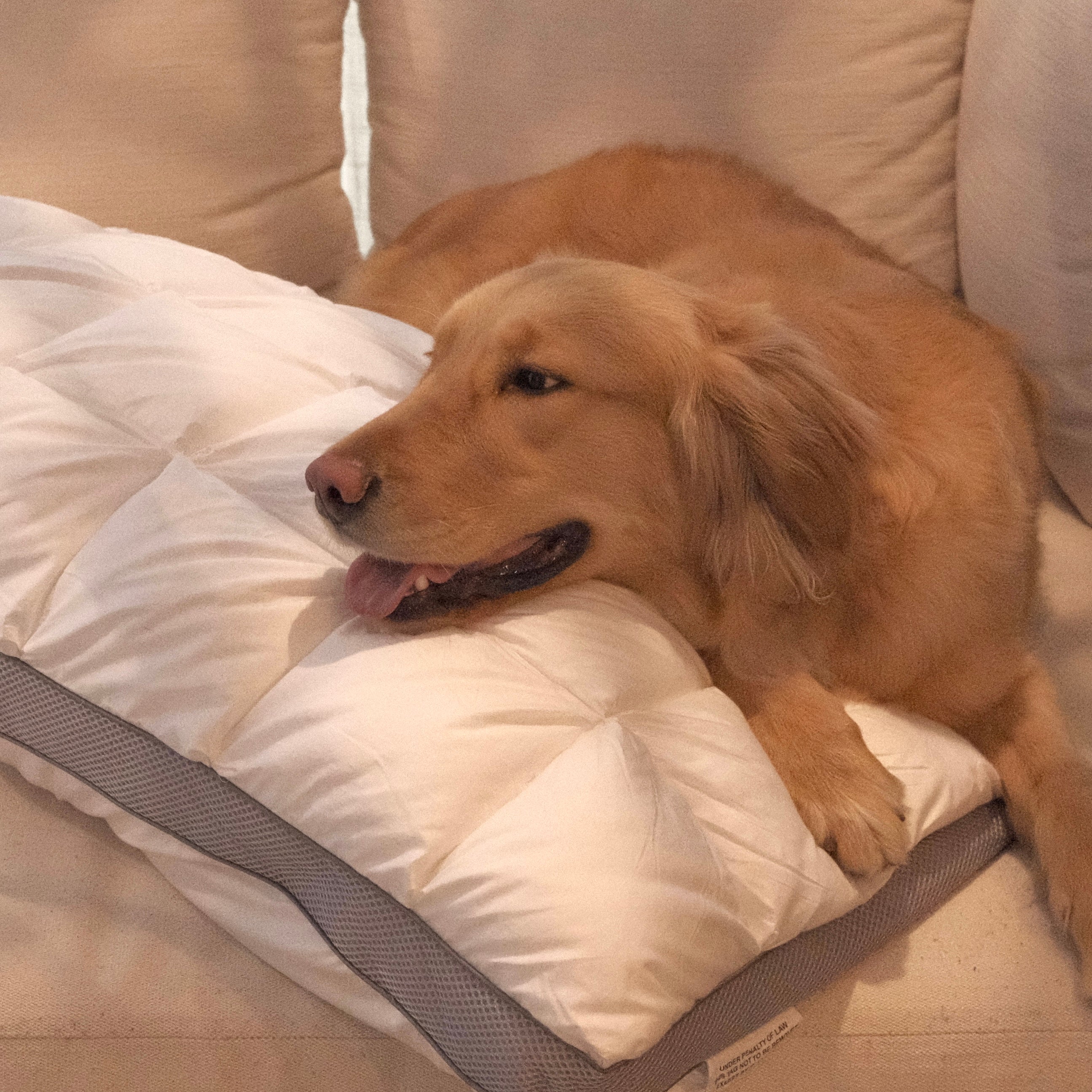 Adjustable Pillow for Side Sleepers Who Want More Than Just Neck Support