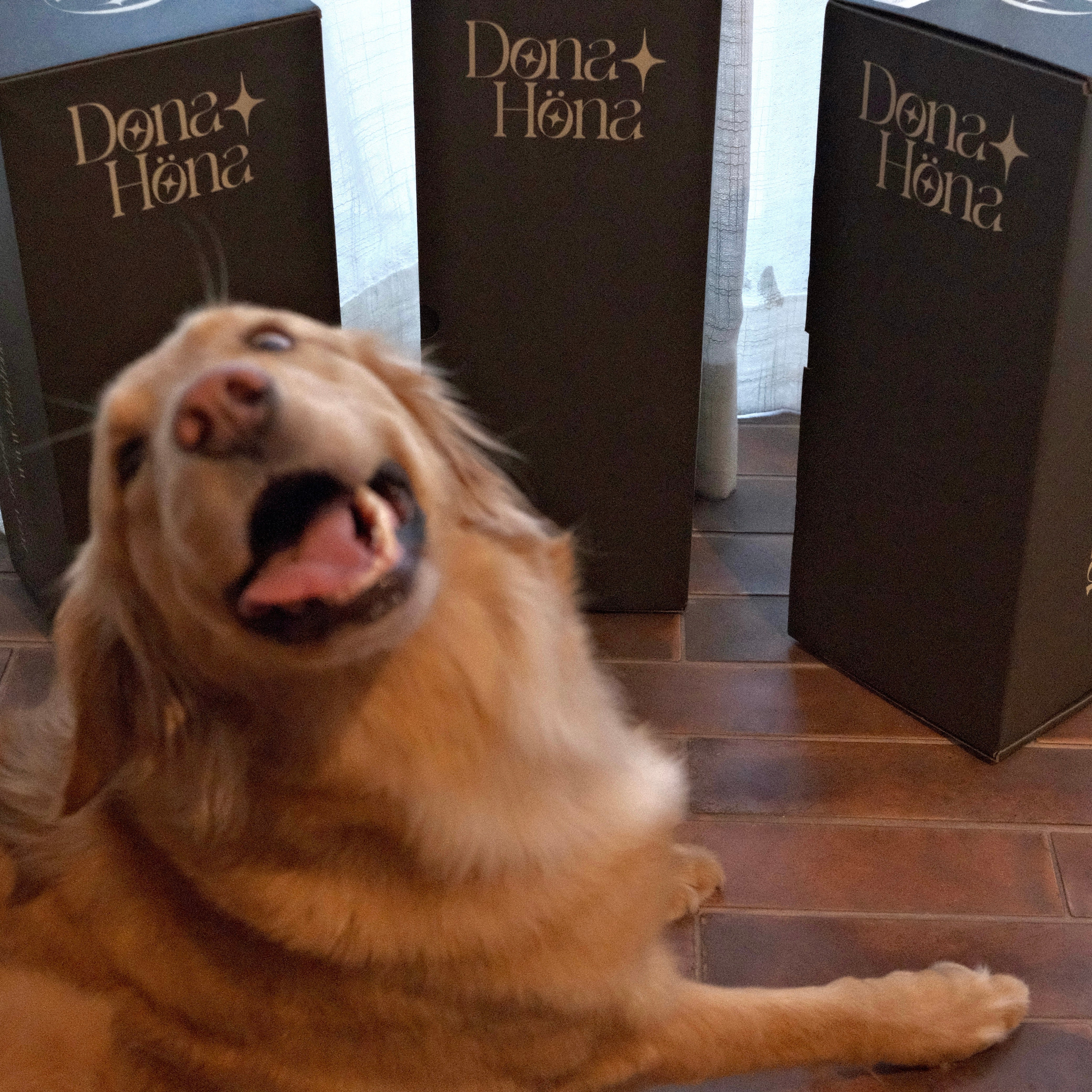 Support Pillows for Sleeping—and Supporting the Gentle Lives We Share This Planet With