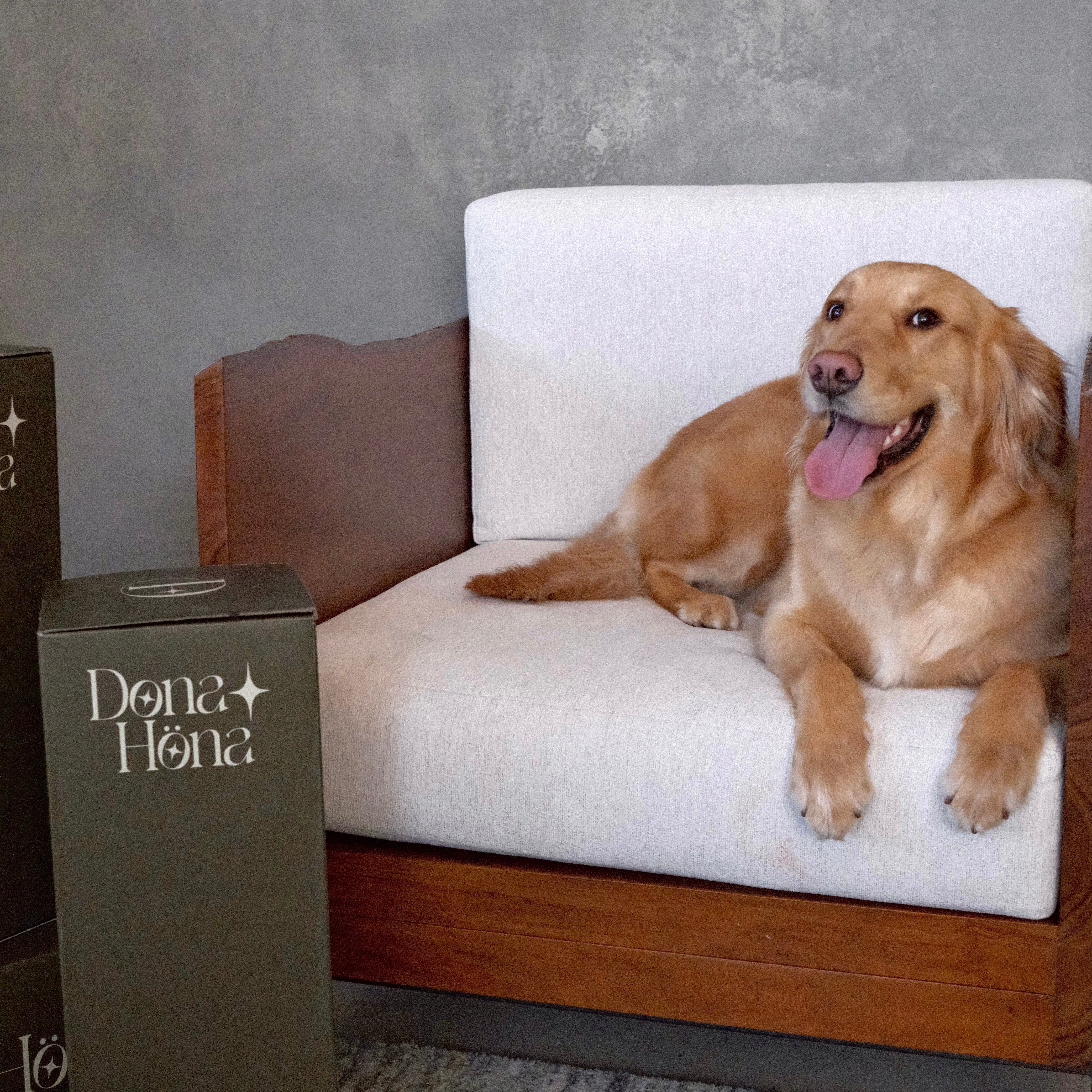 Adjustable Pillow for Side Sleepers—When Your Dog Gives It Two Paws Up