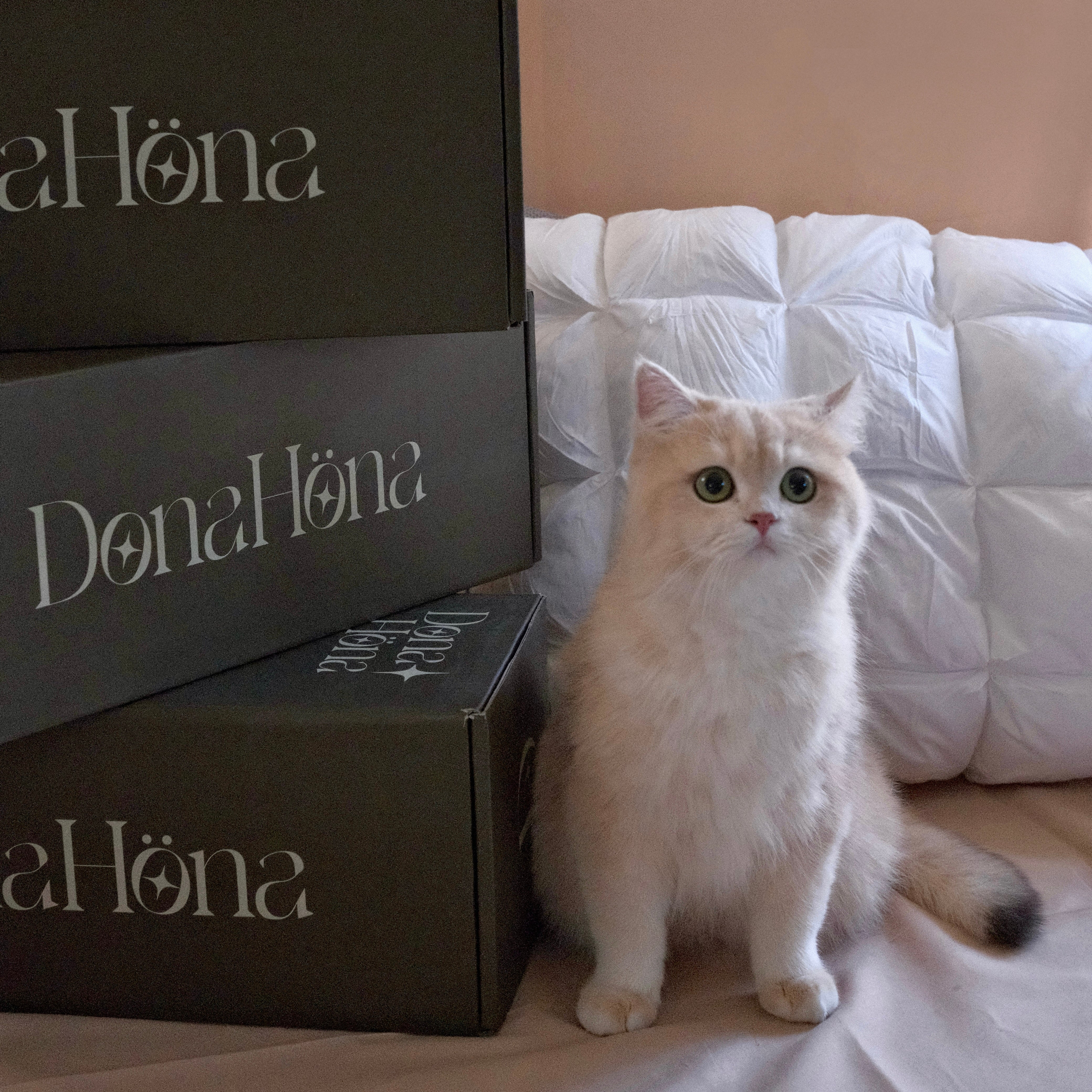 The Thin Pillow for Neck Pain That’s Subtle, Strong, and Soft Enough for Your Rescue Pup to Claim as His