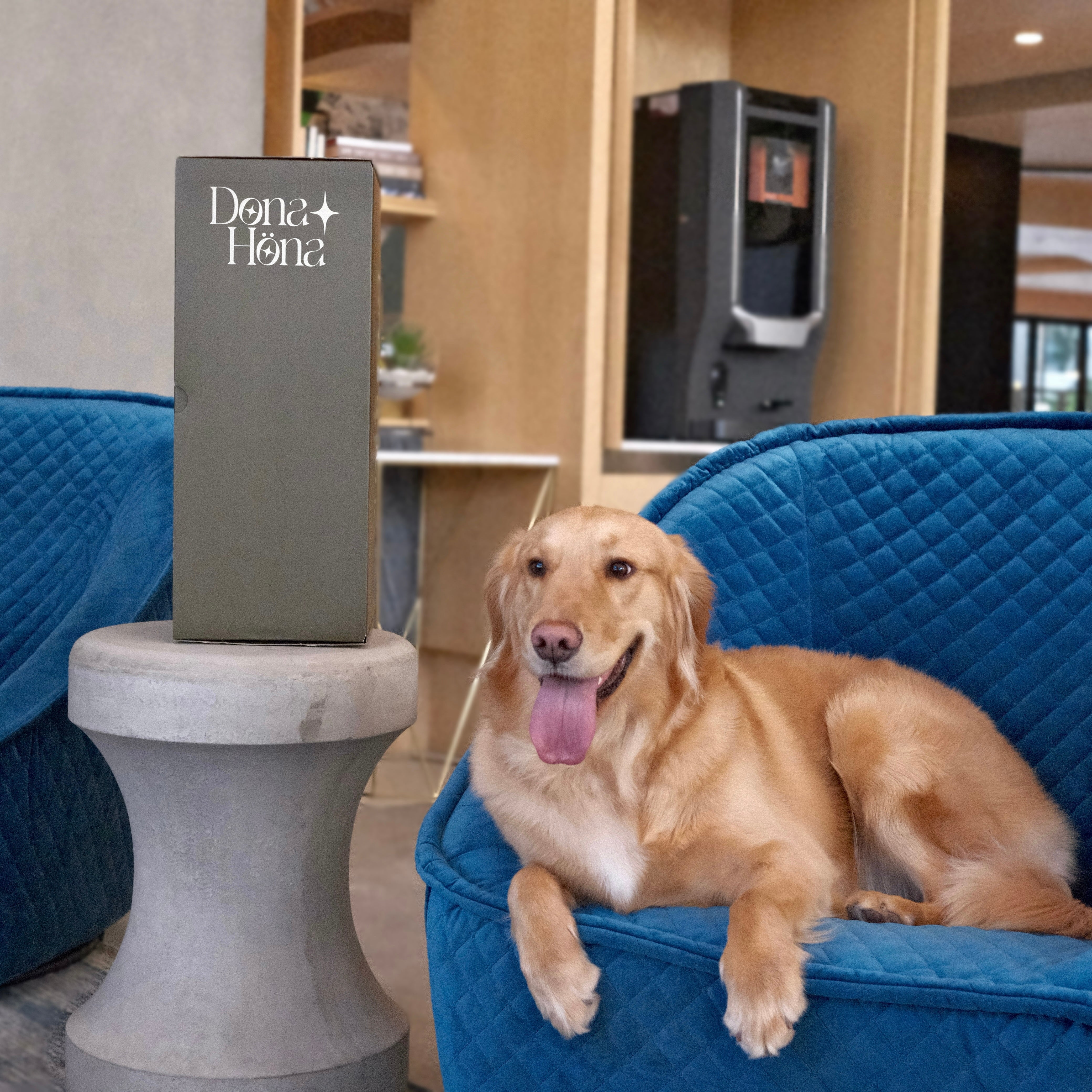 Long Memory Foam Pillows — Are They Worth the Hype?