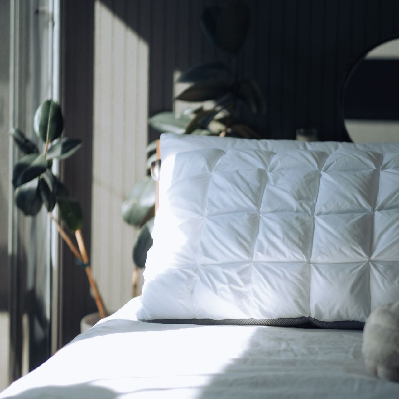 Pillow for Neck and Shoulder Pain Side Sleeper Edition That Gets It