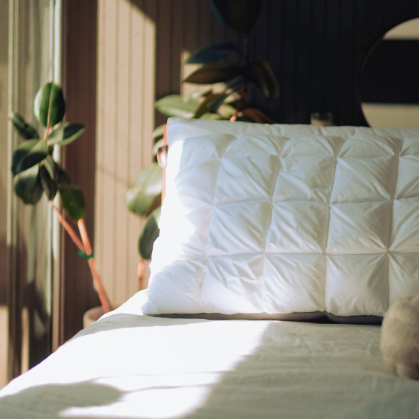 Sleep Like Royalty: The Ultra Soft, King Size Pillow Bundle Everyone’s Talking About