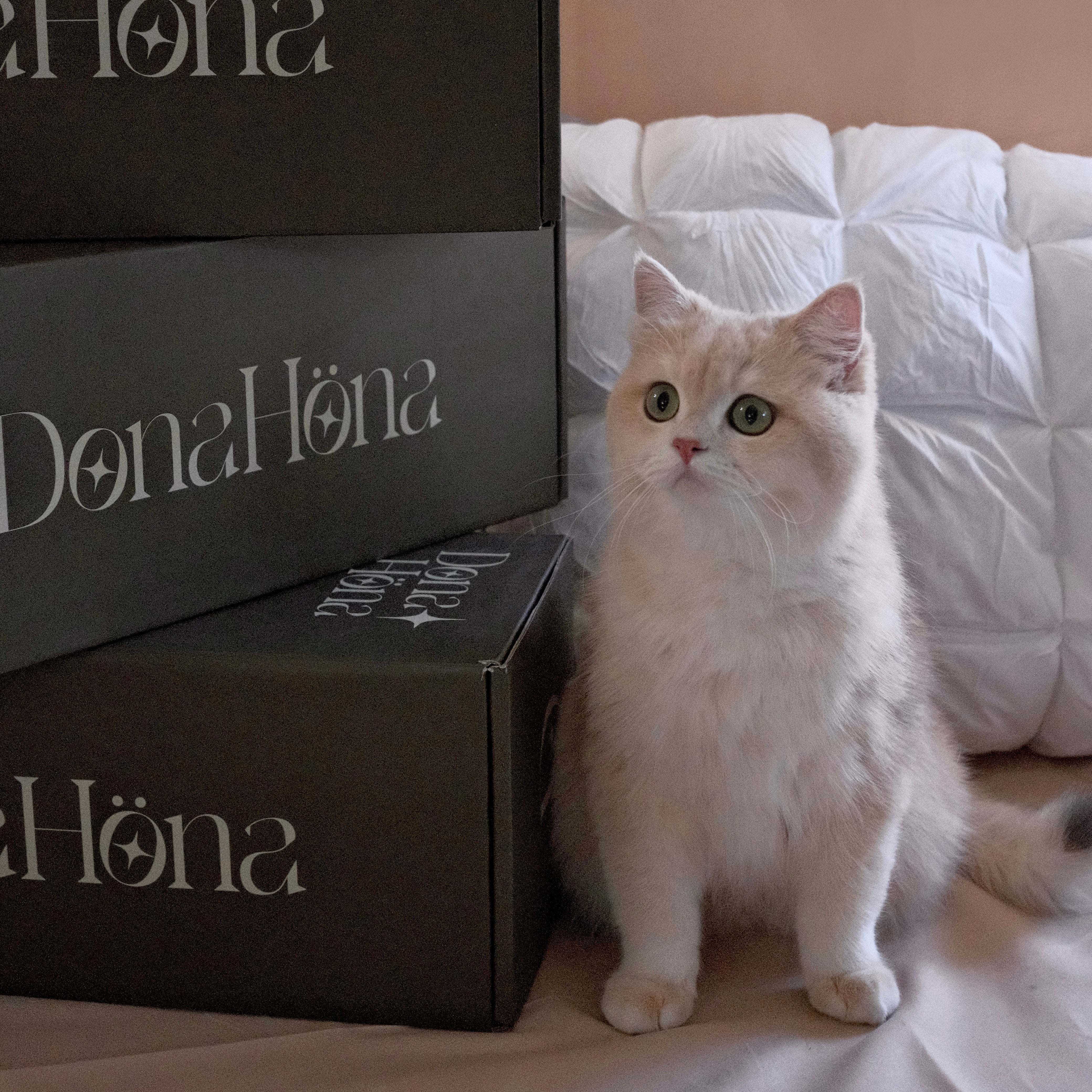 Cervical Pillow for Side Sleepers That Feels Like a Hug—for You and the Fur Family