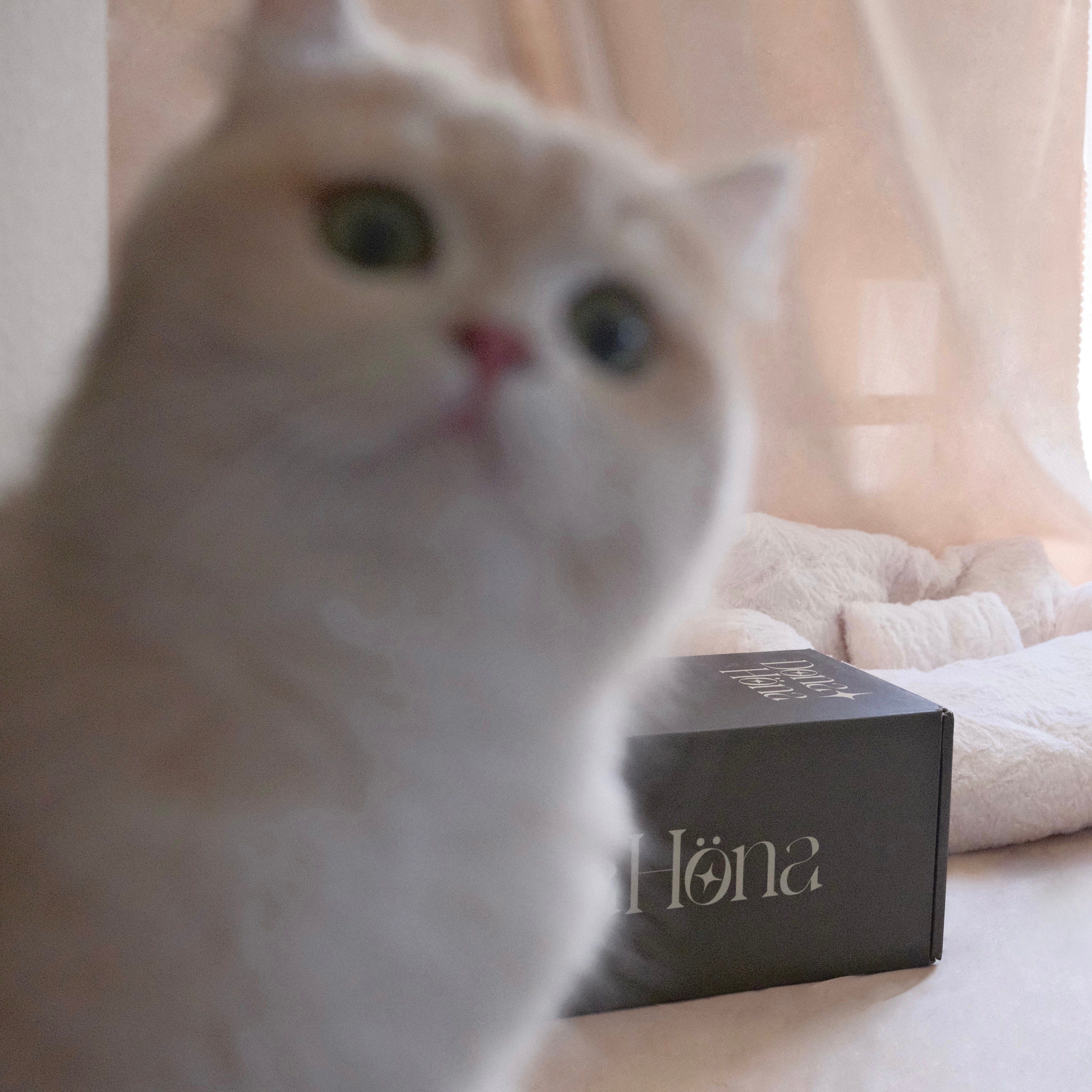 Best Ergonomic Pillow That Supports You—and Sends a Gentle Message of Animal Kindness